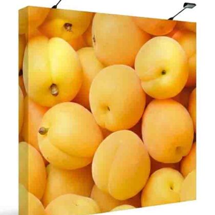 onefabric-8ft-straight-display