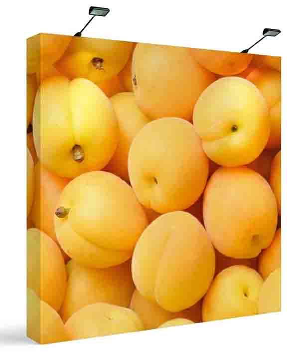onefabric-8ft-straight-display