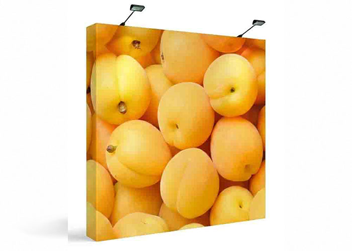 8ft straight fabric pop up exhibition display with printed graphic, wrap-around end caps and 2 led lights