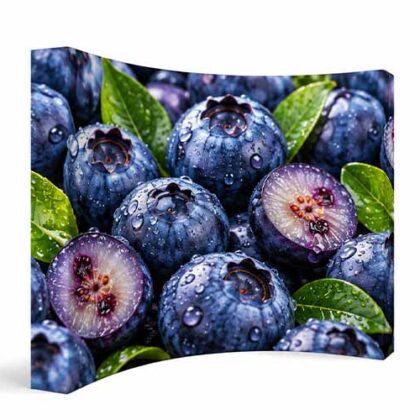 10ft Curved fabric pop up exhibition display with custom printed graphic