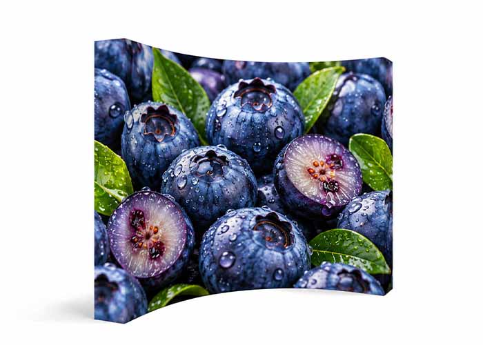 10ft Curved fabric pop up exhibition display with custom printed graphic