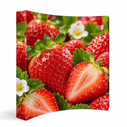 8ft curved fabric pop up exhibition display with printed graphic and wrap-around end caps